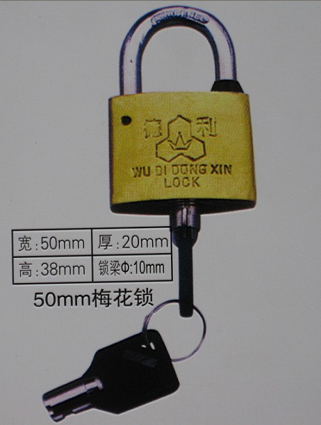 50mm梅花表箱掛鎖,國(guó)網(wǎng)標(biāo)志電力專用通用鎖,一把鑰匙通用鎖