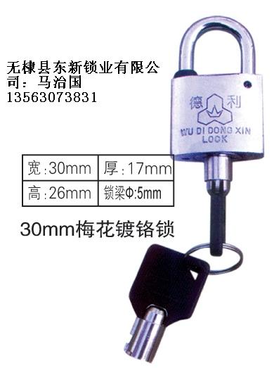 30mm梅花鍍鉻表箱掛鎖,國(guó)網(wǎng)電力表箱鎖,農(nóng)網(wǎng)改造電表箱通開鎖