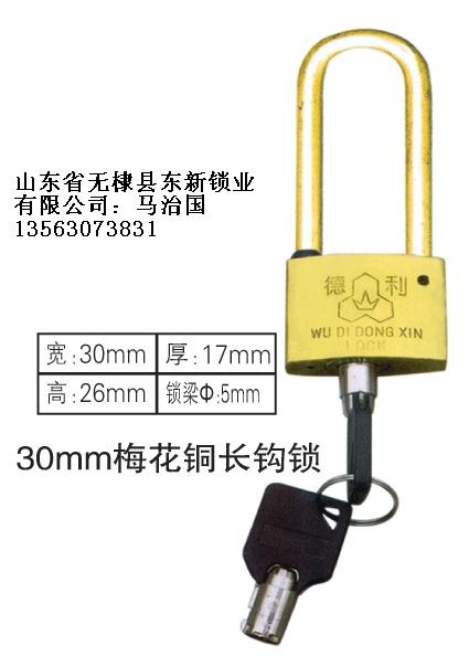 35mm長(zhǎng)梁塑鋼表箱掛鎖,農(nóng)村改造電表箱專用通開掛鎖,一把鑰匙開多把鎖