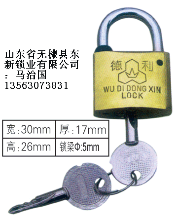 30mm十字表箱掛鎖,廠家低價(jià)銷售通開掛鎖,農(nóng)網(wǎng)電力通開表箱鎖